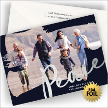 Take A Gander Holiday Photocard