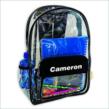 Embroidered Clear Backpack