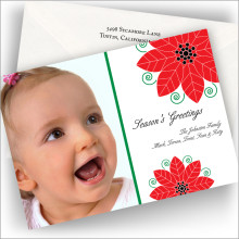 Poinsettia Greetings Photo Cards