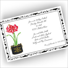 Amaryllis Invitations