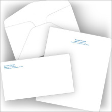 Bill Payer Sheets and Envelopes