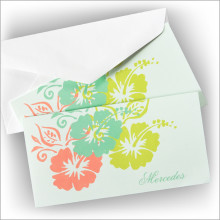 Hibiscus Slender Notes