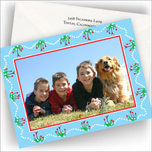 Palm Trees Photo Cards - Horizontal