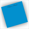 Bright Pads Set of Two - Blue