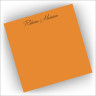 Bright Pads Set of Two - Orange