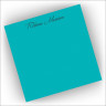 Bright Pads Set of Two - Turquoise