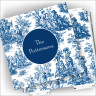 Designer Coasters and Holder - Toile