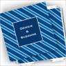 Designer Coasters and Holder - Blue Stripe